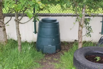 The school compost bin beside the garden hedge