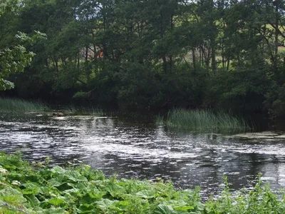The Deel River between green banks